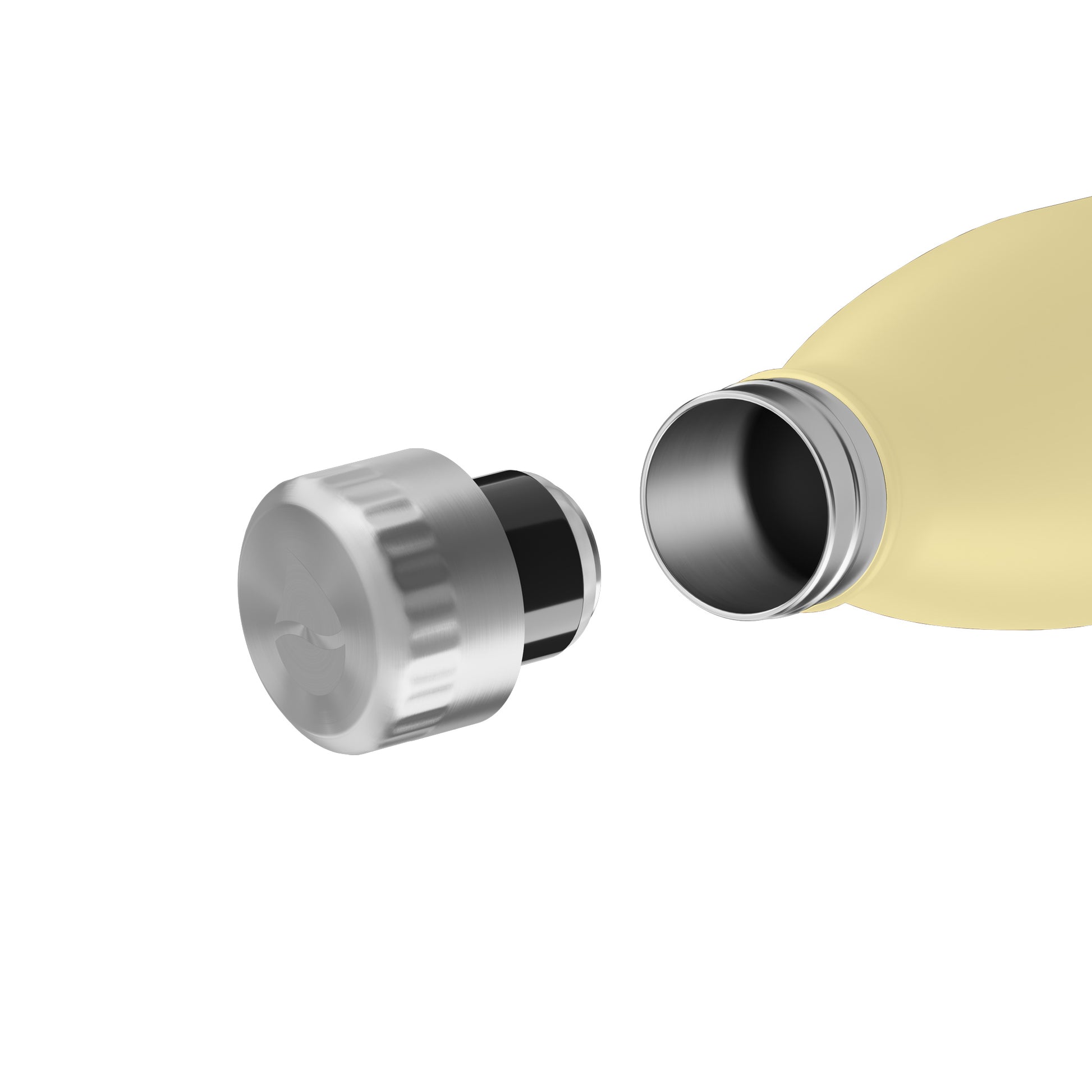 FLSK Trinkflasche aus Edelstahl lemon 750 ml