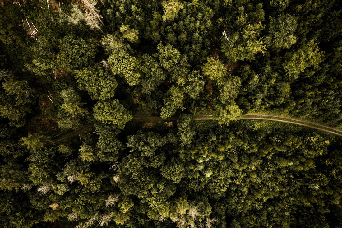 Wie viel CO2 ist viel?