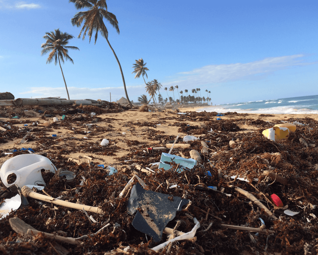Hoch die Flaschen gegen die Plastikflut